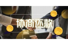 汉滨为什么选择专业追讨公司来处理您的债务纠纷？