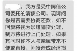 汉滨汉滨的要账公司在催收过程中的策略和技巧有哪些？